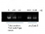 LEA4-5 | Late embryogenesis abundant protein 4-5 (serum)